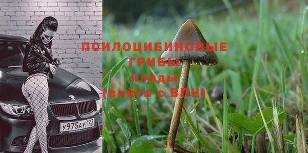 каннабис Белокуриха