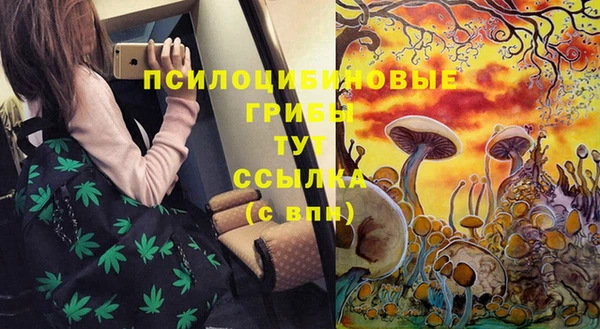 2c-b Белоозёрский